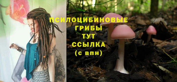 бошки Белоозёрский